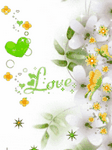 pic for flower n love